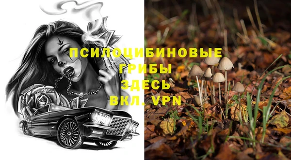 кокаин Богданович