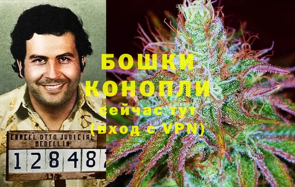кокаин Богданович