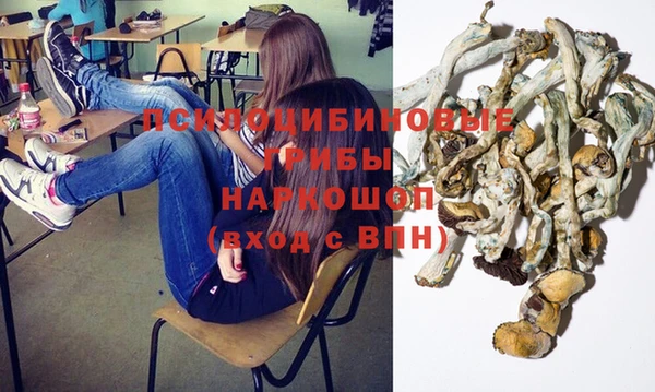 кокаин Богданович