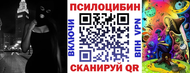 Галлюциногенные грибы Psilocybe  Новое Девяткино 